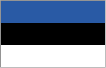 образец анкеты на визу в эстонию 2015